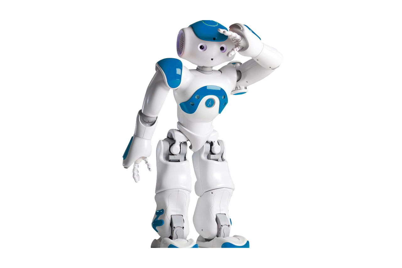 Robotyka humanoidalna